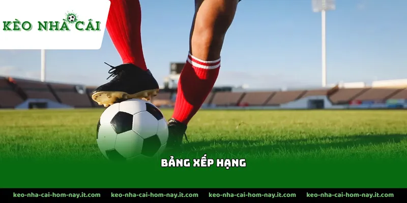 Dựa vào phong độ thi đấu của 2 đội để đưa ra lựa chọn phù hợp