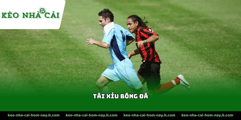 Bật mí cách đọc tỷ lệ O/U chuẩn xác